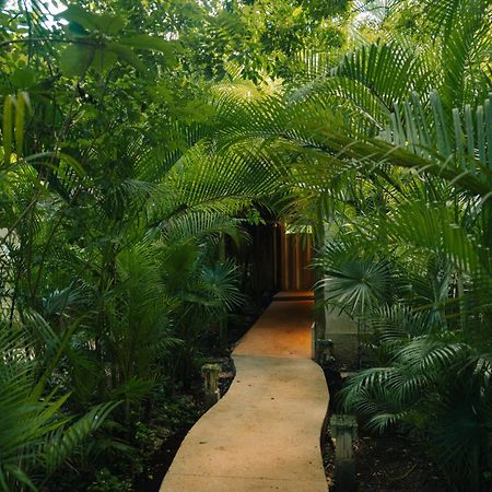 Hotel Aldea Coba An Escape Boutique Experience Zewnętrze zdjęcie